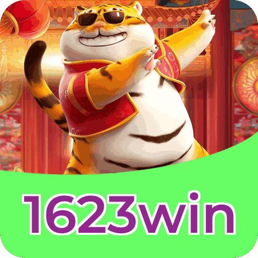 Performance 1623win